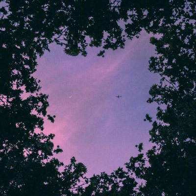 1788网投下载手机版